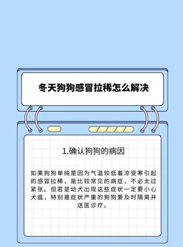 解决狗睡觉流口水问题的方法（以宠物为主，从根本解决问题）