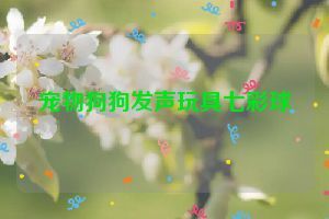 宠物狗狗发声玩具七彩球