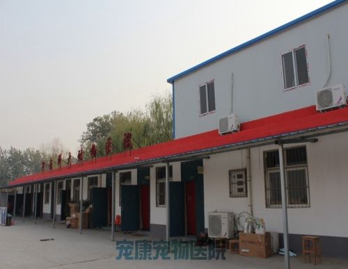 涧西动物医院_知名动物医院-洛阳市高新开发区宠康宠物医院