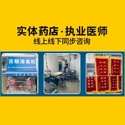 宠物医院在线咨询,宠物医院在线咨询免费咨询
