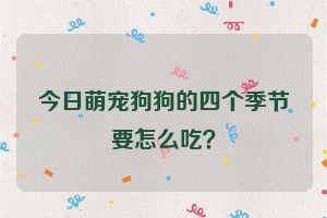 今日萌宠狗狗的四个季节要怎么吃？