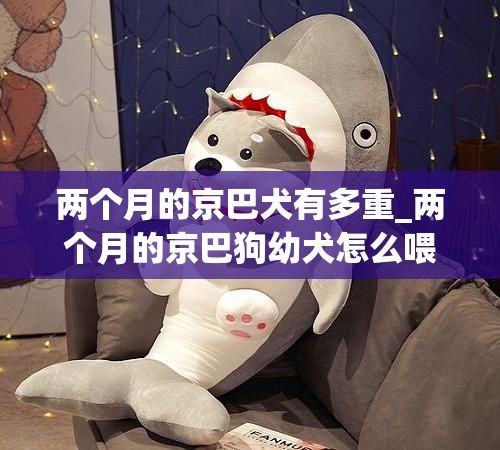 两个月的京巴犬有多重_两个月的京巴狗幼犬怎么喂养