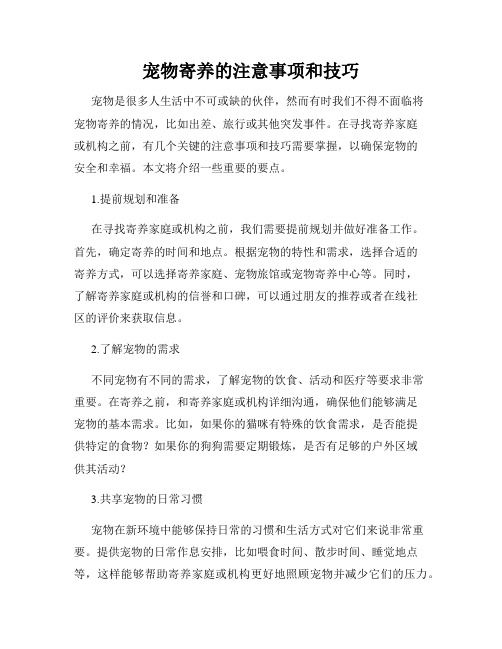 宠物寄养的注意事项和技巧