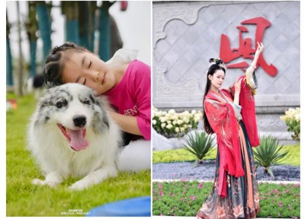 嘟噜嘟噜萌宠乐园，是上海最受欢迎的宠物主题公园之一。在这个充满乐趣和活力的地方，你可以找到各种可爱的宠物，包括狗狗、猫咪、兔子、仓鼠等等。这里不仅是一个可以让你的宠物玩耍的地方，也是一个可以结交其他宠物主人的好场所。