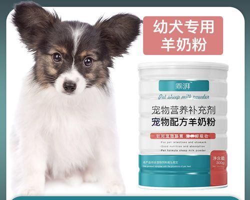 如何给宠物治疗寄生虫（以狗狗有虫吃什么药为例）