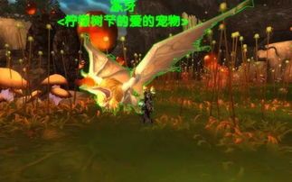 魔兽世界蜥蜴肉块哪里多-魔兽世界大神回答