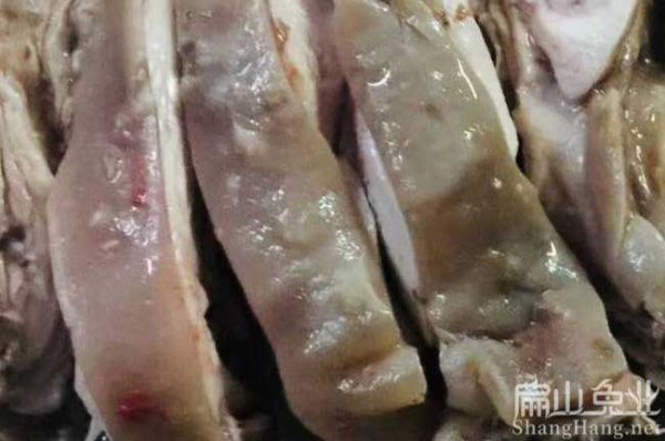 广东兔肉加工