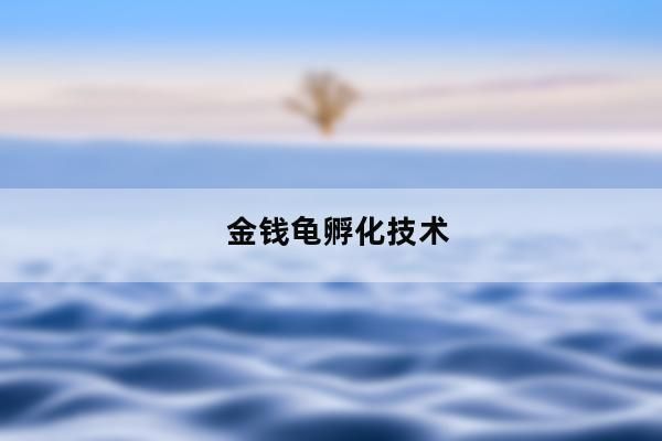 金钱龟养殖多久才可以繁殖