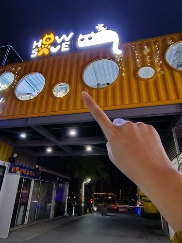 上海太超前啦！自助猫猫狗狗寄养