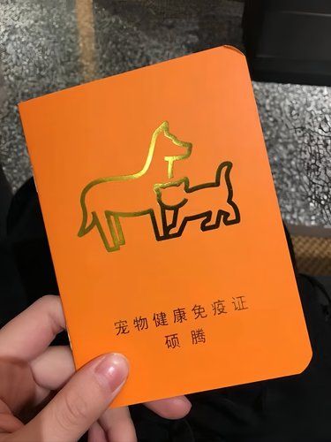 猫三联竟然不用年年打!被骗了这么多年!