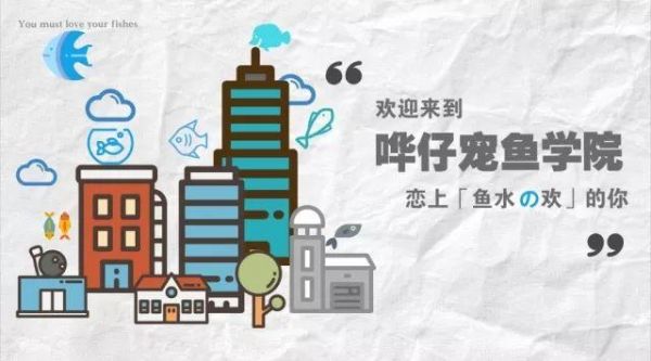 谜一样的蛋白虫，让我的鱼缸不再美丽