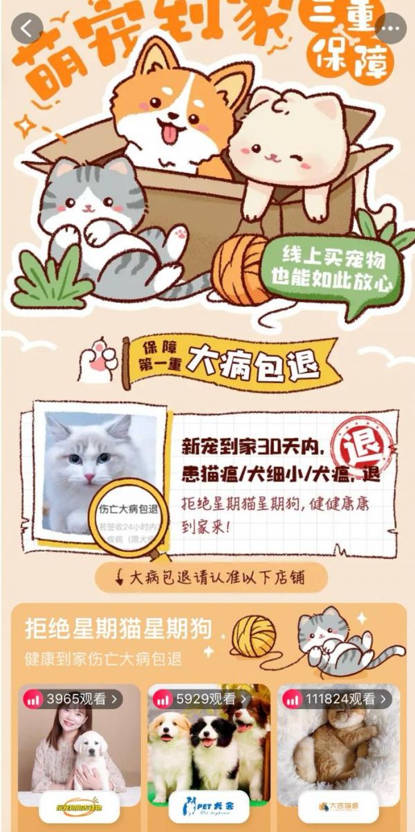 上淘宝搜索“买宠物大病包退”关键词,即可进入页面