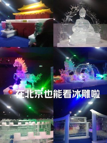 冰雕展的魔幻时刻✨