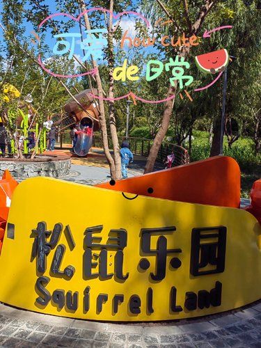 藏在密林之中的免费松鼠公园