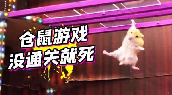 世界级仓鼠闯关大赛开始了!没通关就没命! 《仓鼠锦标赛》