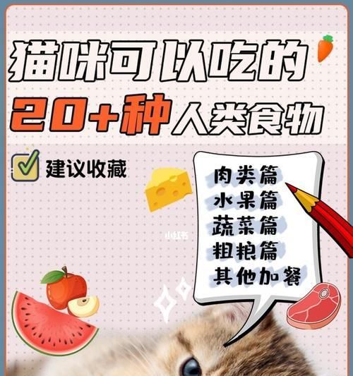 猫咪的高蛋白饮食（以宠物为主）