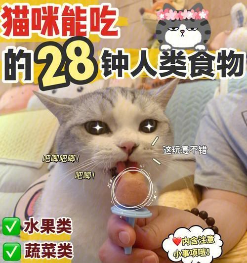 猫咪的高蛋白饮食（以宠物为主）
