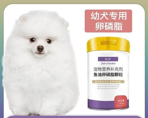 狗狗的月经血情况详解（从颜色到时间）