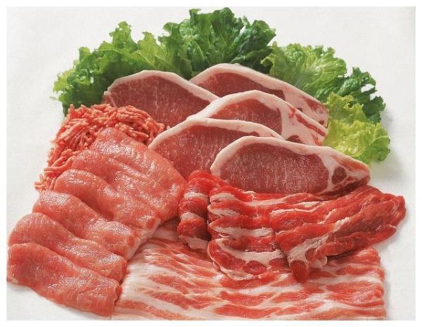 辟谣：猫咪吃肉不吃粮不是坏事！怎么喂以保证营养均衡才最关键