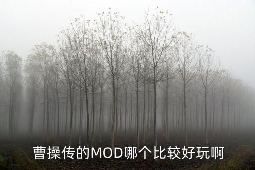 新引擎曹操传豪华版,豪华版曹操传2011攻略