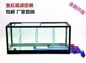 鱼缸生态平衡的建设：鱼缸底滤改为底滤鱼缸生态系统需要遵循一定的步骤
