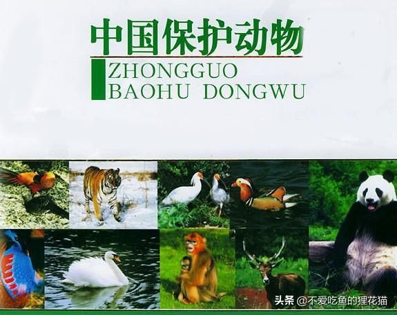文章图片1
