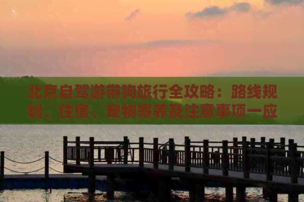北京自驾游带狗旅行全攻略：路线规划、住宿、宠物寄养及注意事项一应俱全
