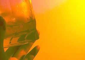 种大葱的简单方法