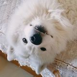 不爱说话