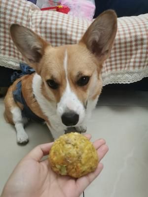 狗粮狗窝头狗零食的做法 步骤8
