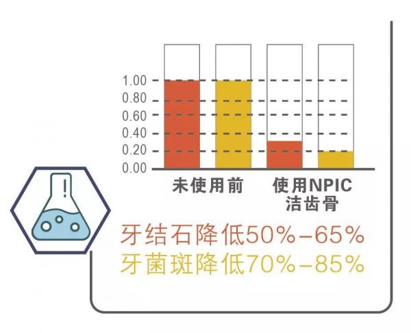时尚先锋-宠物口腔保健的重要