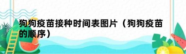 狗狗疫苗接种时间表图片（狗狗疫苗的顺序）