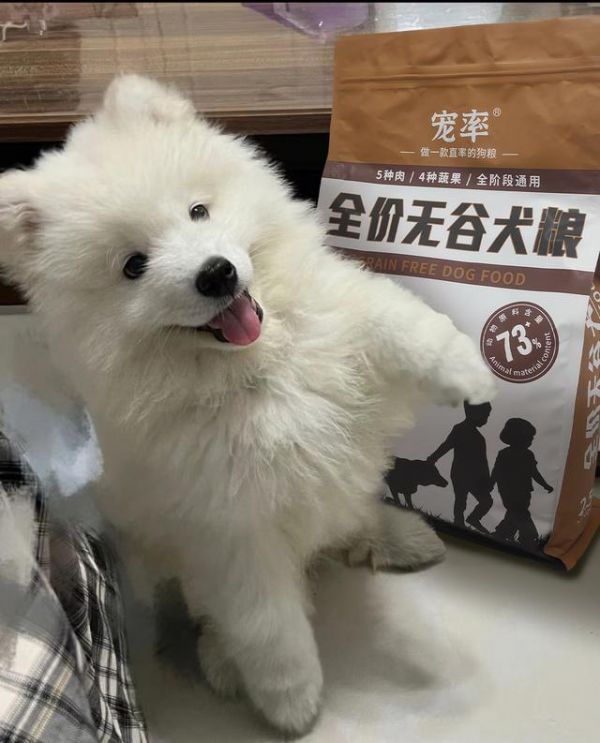 最好的狗狗粮推荐（狗狗主粮怎么选）(12)