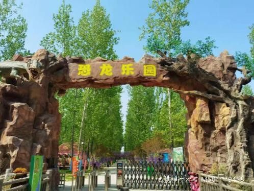 亳州萌宠乐园的奇妙蛇类之旅