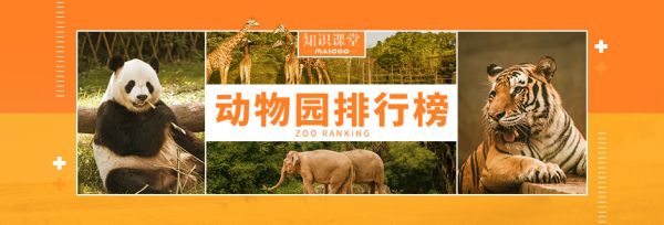 有湖有水有绿树的森林景区