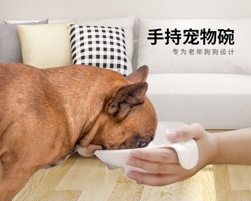 老年狗狗的健康喂养（以宠物为主，营养均衡、适口可口的饮食为基础）