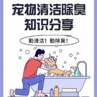 【码住】超实用的宠物清洁除臭分享！看完这篇你就懂啦~
