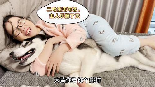 自从家里养了帅气的二哈，媳妇每天都搂着二哈睡，气得老公想离婚