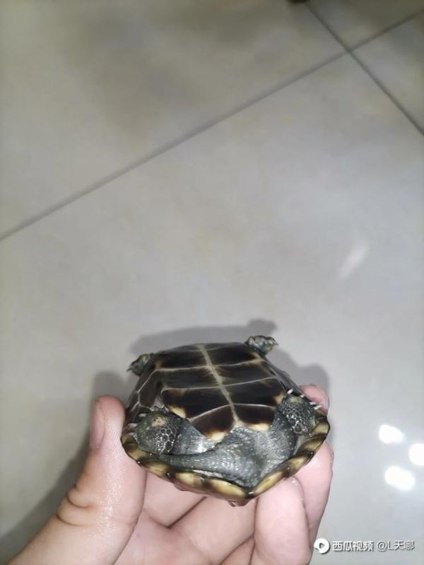 评论图片