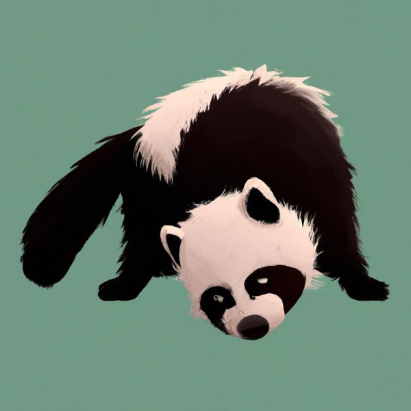 El Hurón Panda: Características y Cuidados Especiales