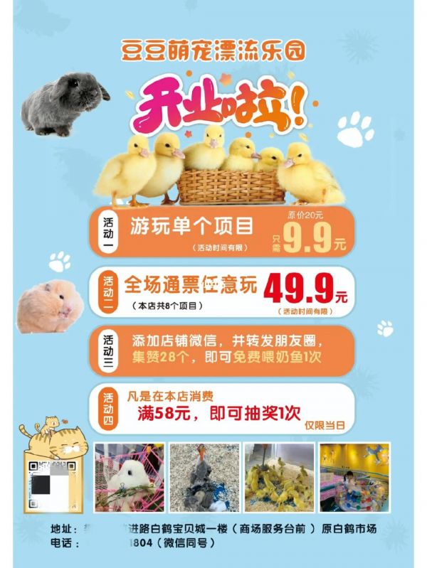 萌宠乐园卖票宣传——一场与爱宠共度的欢乐时光