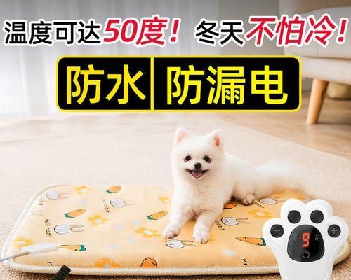 如何控制宠物猫咪的饮食（健康的猫咪需要正确的饮食管理）