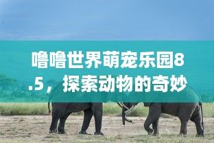 噜噜世界萌宠乐园8.5，探索动物的奇妙世界