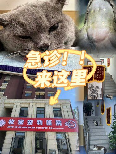 “它”幸福没有了❗肯定恨死我了‼️