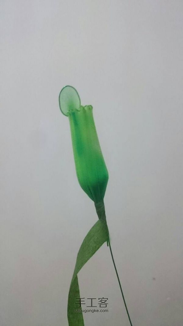 猪笼草制作教程--丝网花类 第9步
