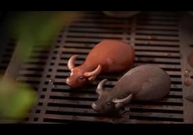 茶宠摆放有什么讲究?茶宠怎么选?茶宠怎么养?茶宠怎么摆?