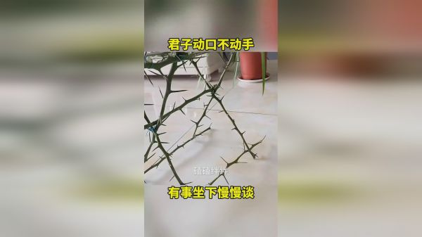 君子动口不动手，有事坐下慢慢谈！