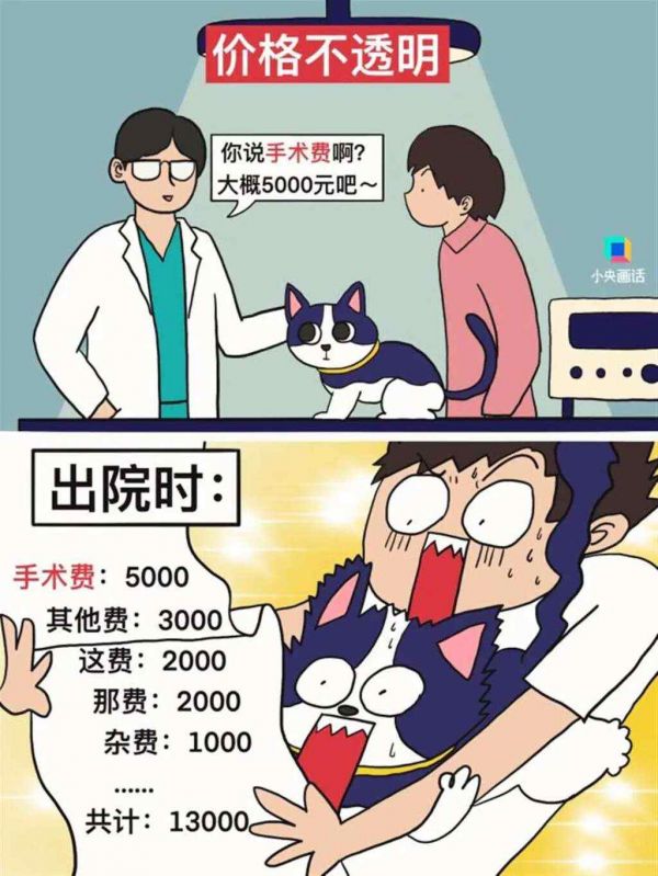 动不动就几千上万元!宠物看病比人还贵,宠物医院却喊亏