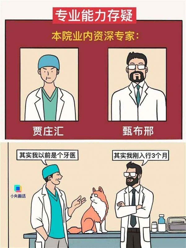 动不动就几千上万元!宠物看病比人还贵,宠物医院却喊亏