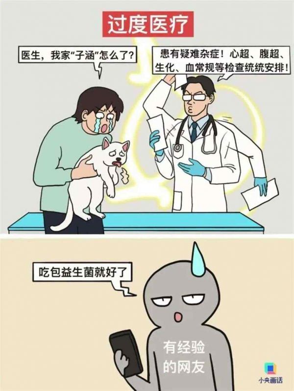 动不动就几千上万元!宠物看病比人还贵,宠物医院却喊亏